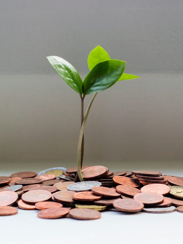 Systematic Investment Plan
